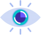 Vision